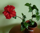 P1390283