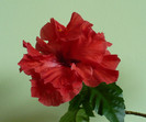 P1390287