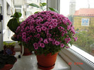 DSC03701