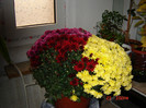 DSC03704