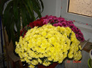 DSC03705