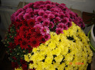 DSC03706