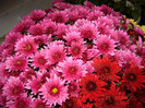 DSC03707