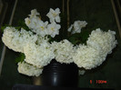 DSC03757