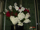 DSC03761