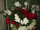 DSC03763