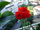 DSC03768