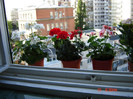 DSC03770