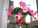DSC03771