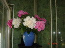 DSC03780
