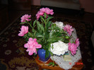 DSC03782