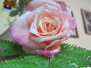 Picture 025