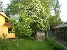 P1010465