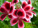DSCN0361