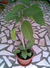 20.05.2012 de la mihaelaciucanu