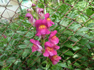 P1050654