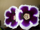 DSCN2609