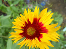 DSCN2633