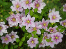 DSCN2637