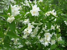 DSCN2639