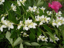 DSCN2640