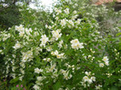 DSCN2641