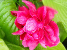 DSCN2646