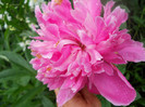 DSCN2638