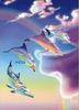 images (8)