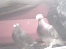 200512-0737(001)