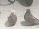 200512-0737