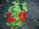 CIMG5110