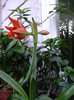 DSC08739