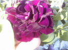 P20-05-12_18.46[1]