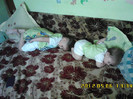 IMG00029