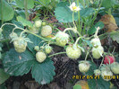 IMG00100