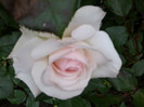 Fotografie4215