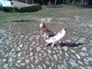 Imag007