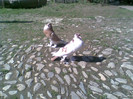 Imag008