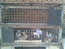 Imag015