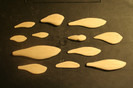 1 din fiecare model