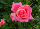 DSCN5611