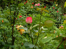 DSCN5669