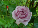 DSCN5758