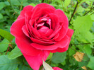 DSCN5767