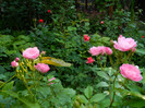 DSCN5791