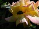 DSCN5858