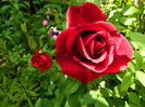 DSCN5859