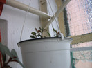 DSCF2895