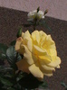 DSC01321